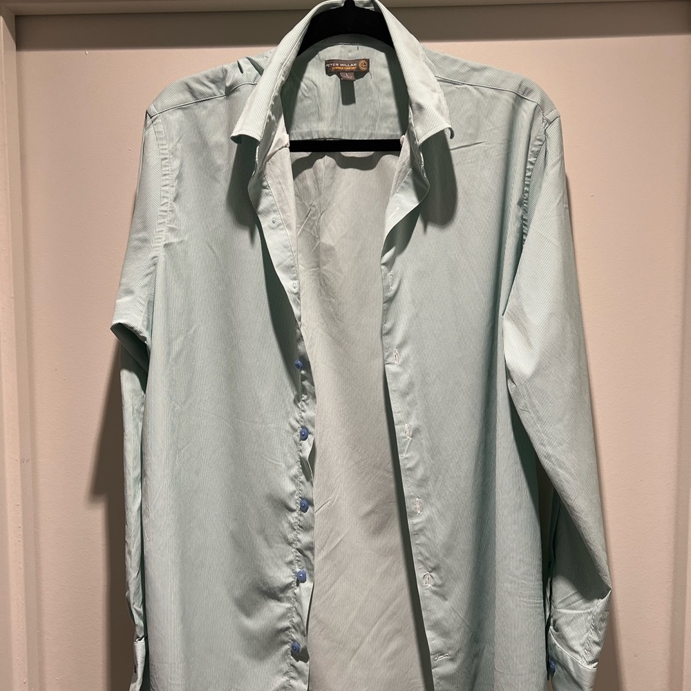 Peter Millar green teal button down (L)